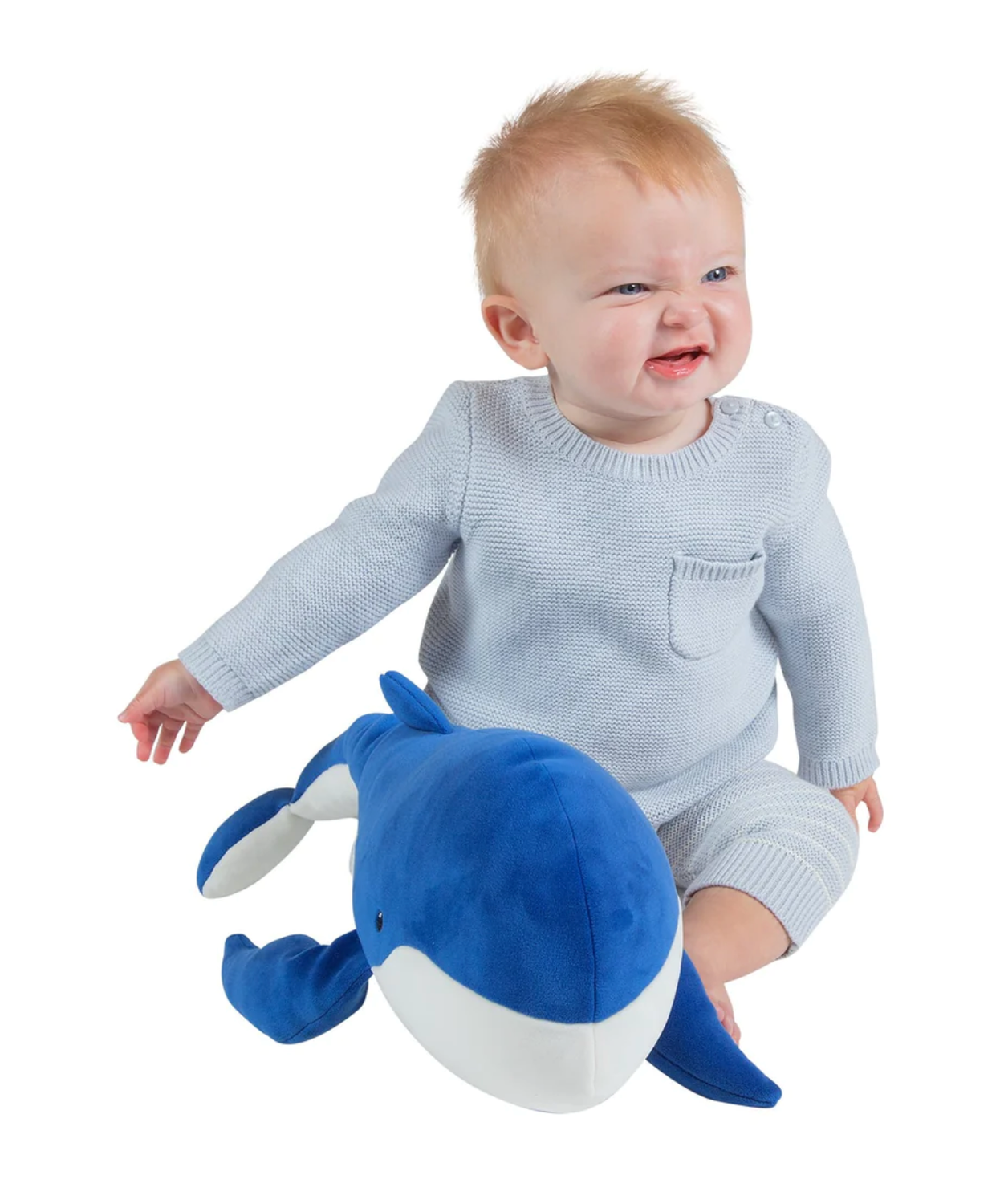 Wistful Whale