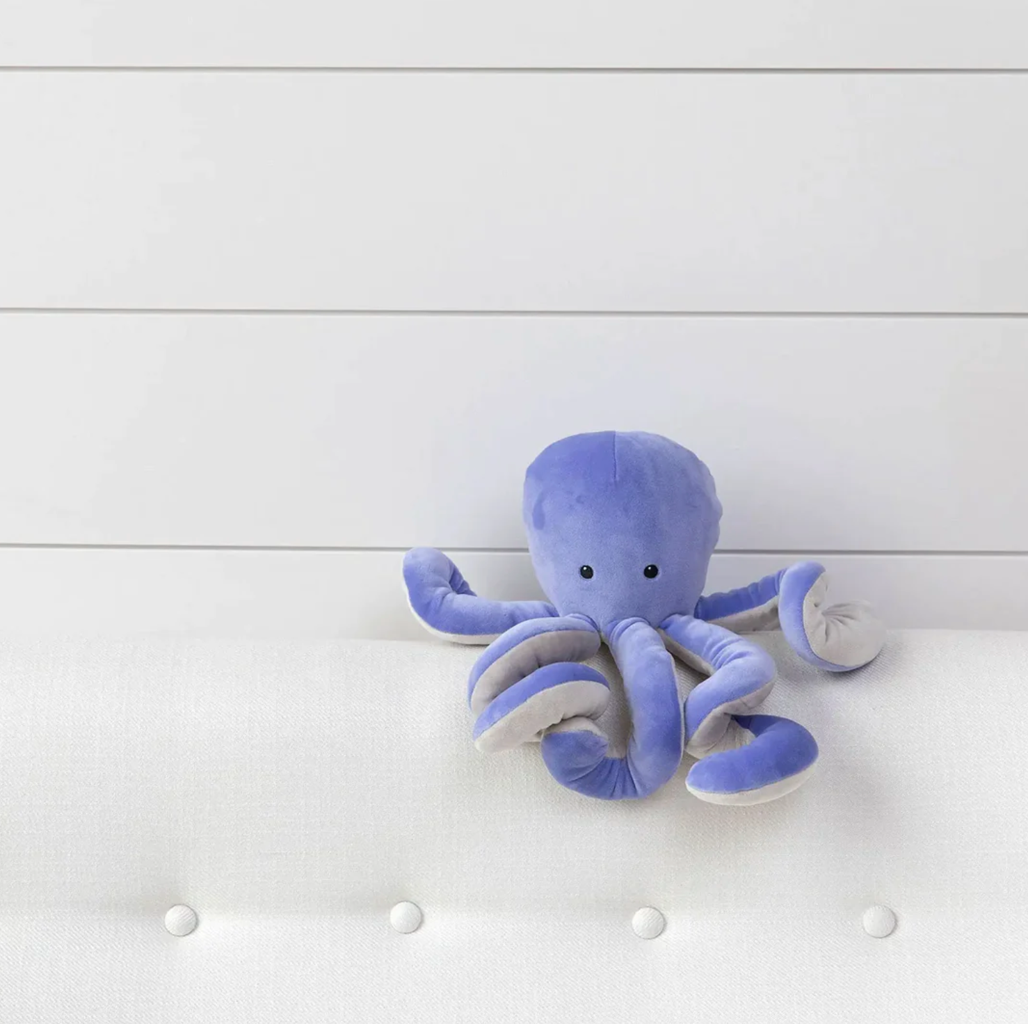 Sourpuss OctopusS