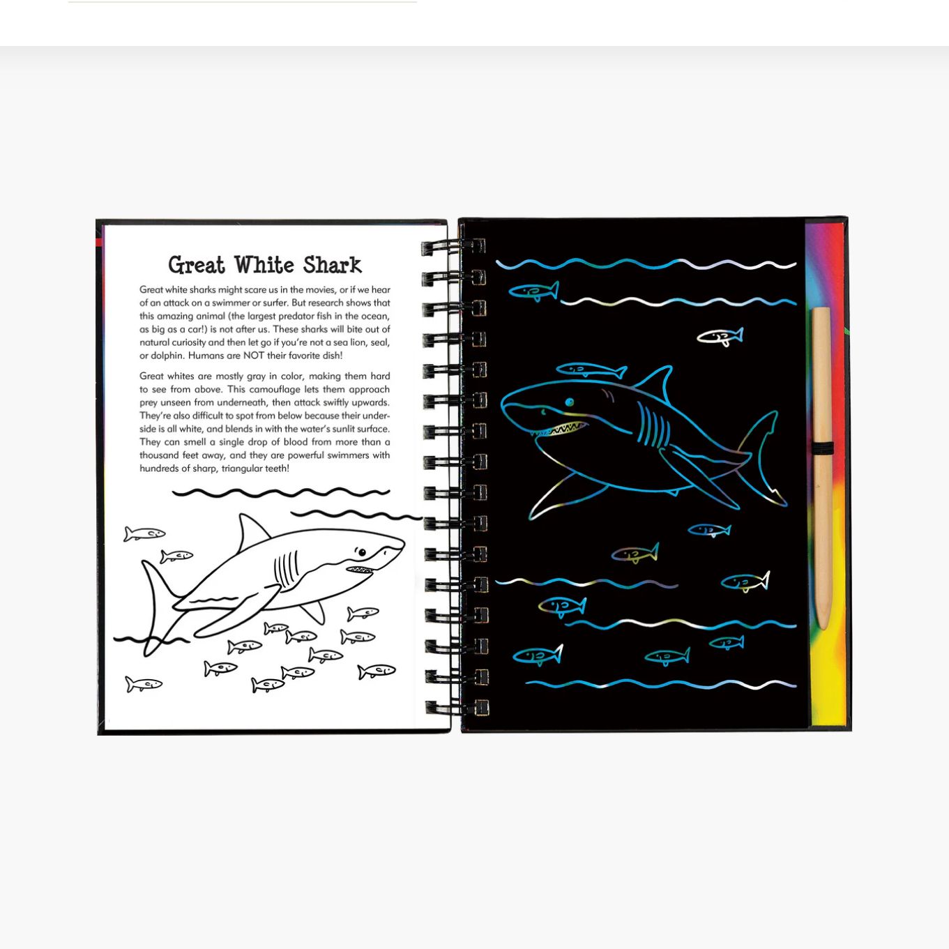 Sharks Scratch &amp; Sketch