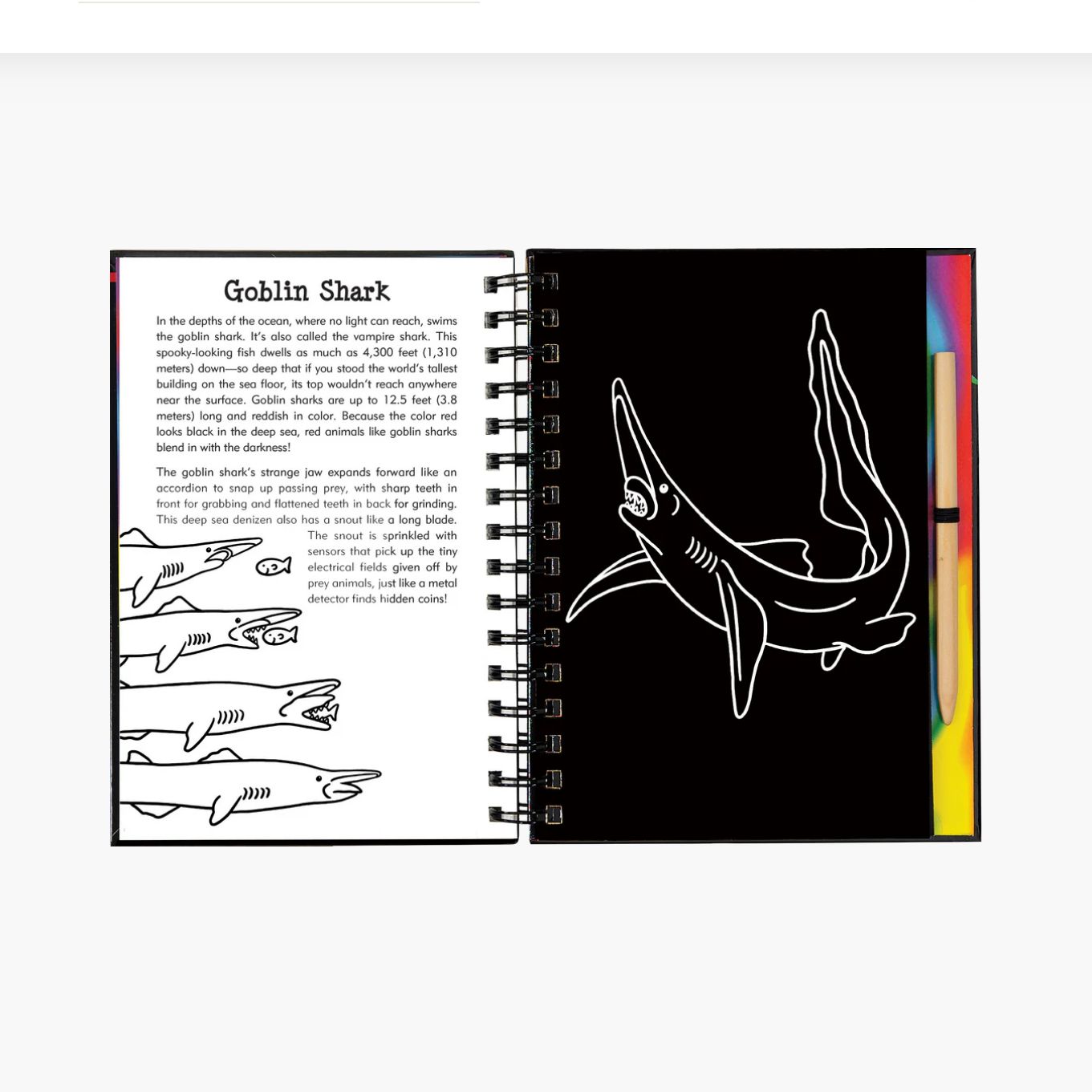 Sharks Scratch &amp; Sketch