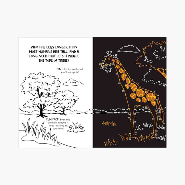 Dot-to-Dot Animals Scratch &amp; Sketch