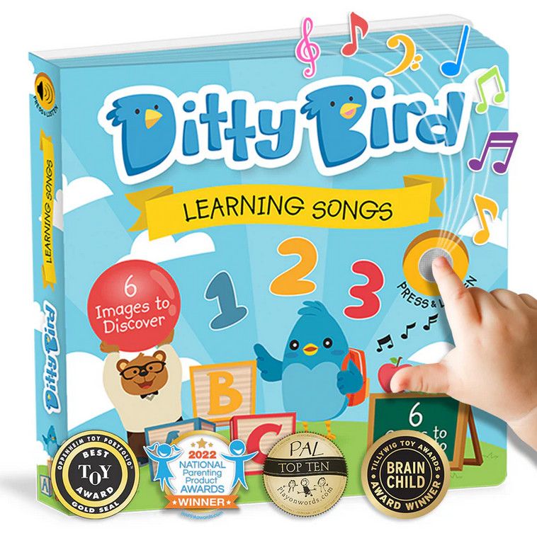 Ditty Bird: Learning Songs