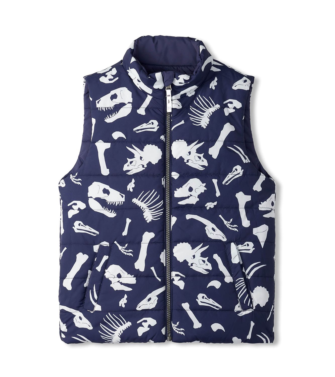 Dino Fossils Reversible Vest