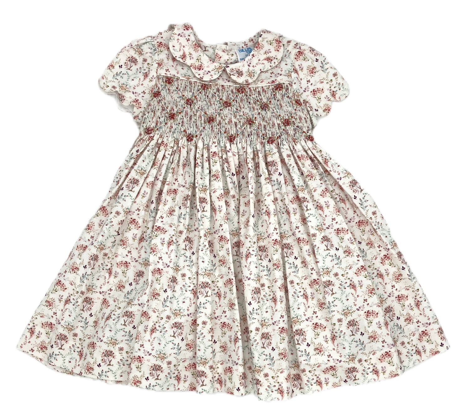 Whimsy Smock Dress