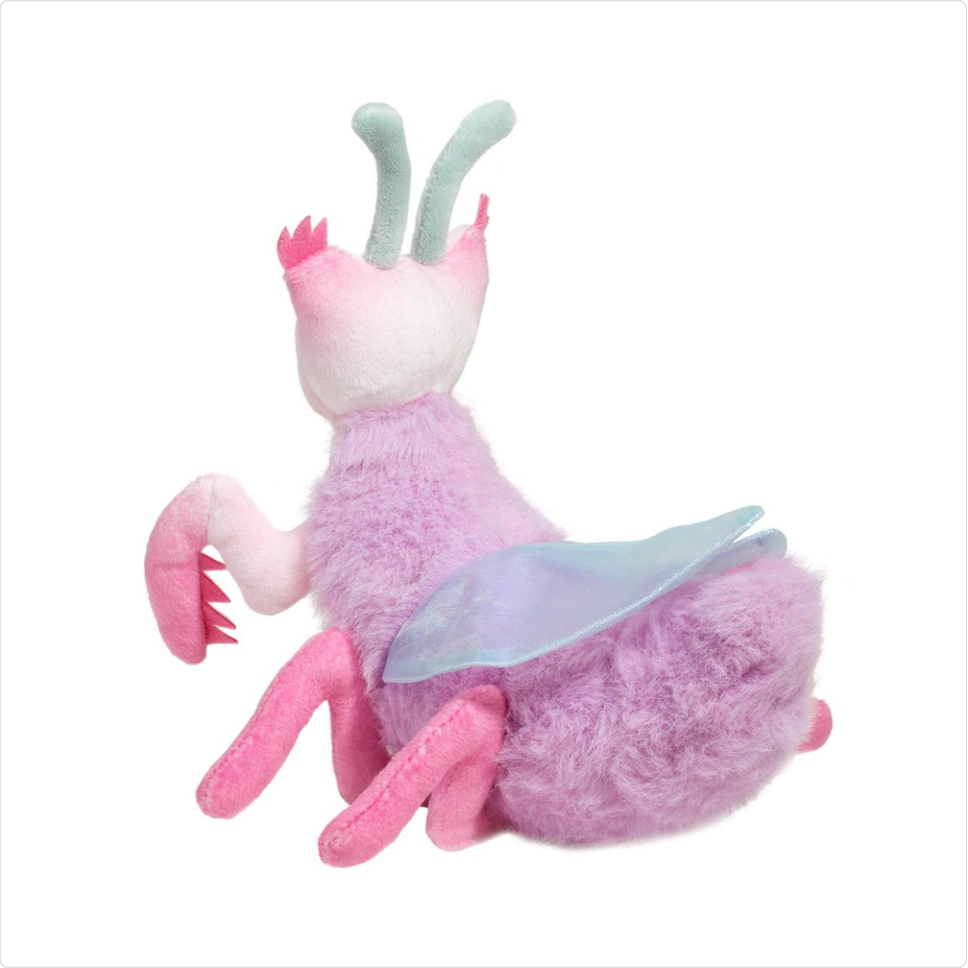 Ophelia Orchid Mantis