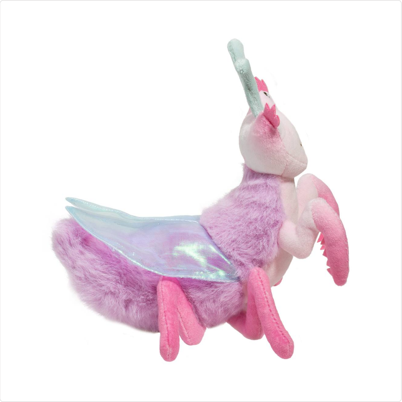 Ophelia Orchid Mantis