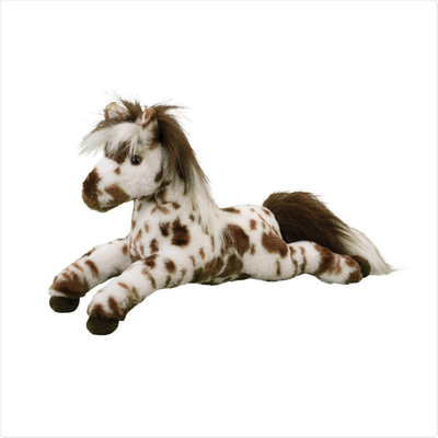 Duke Appaloosa Horse