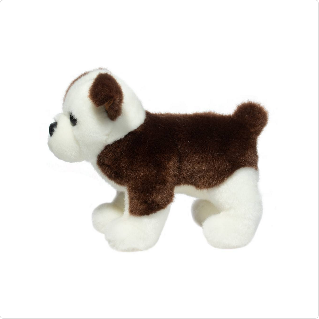 Clive Bulldog