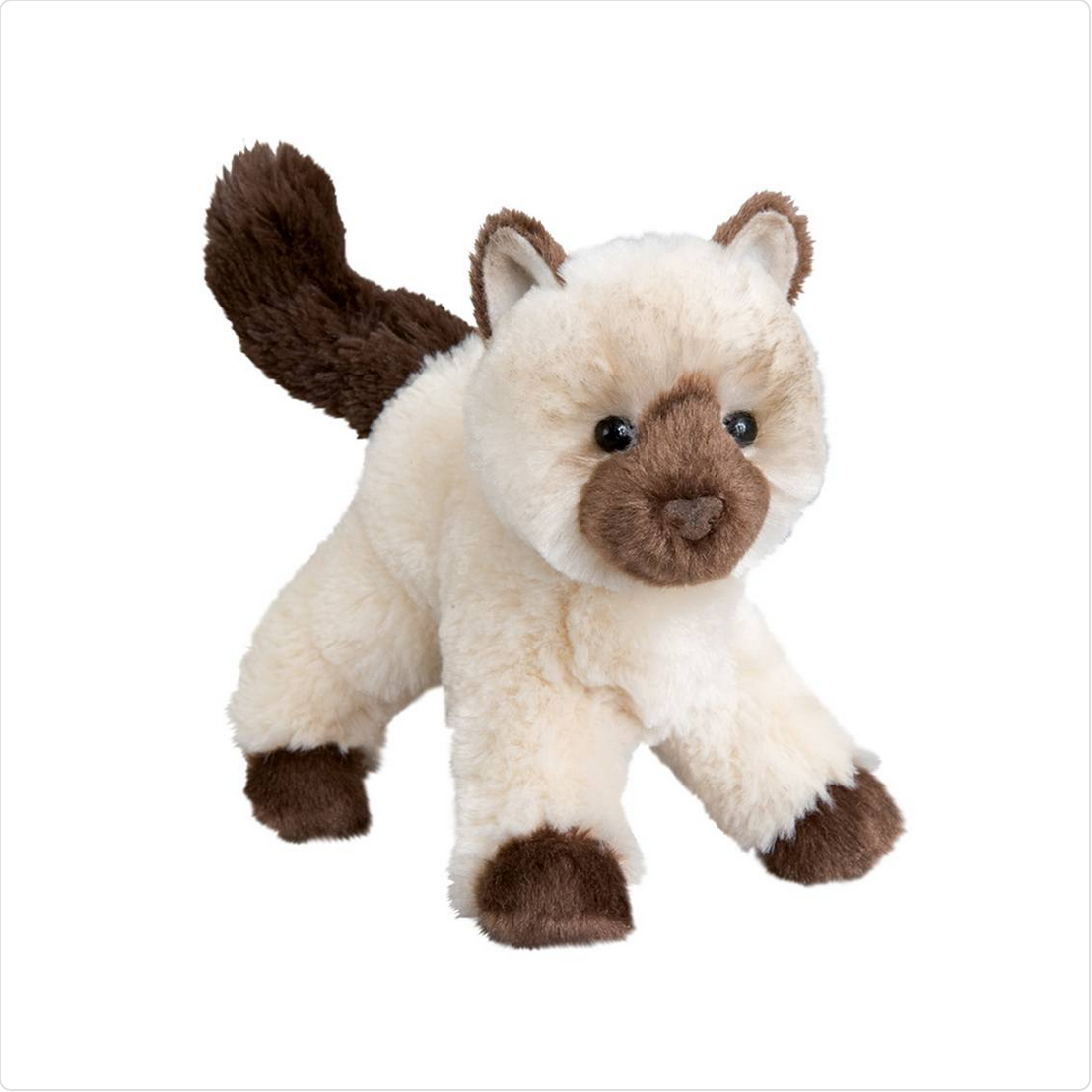 Hilda Himalayan Cat