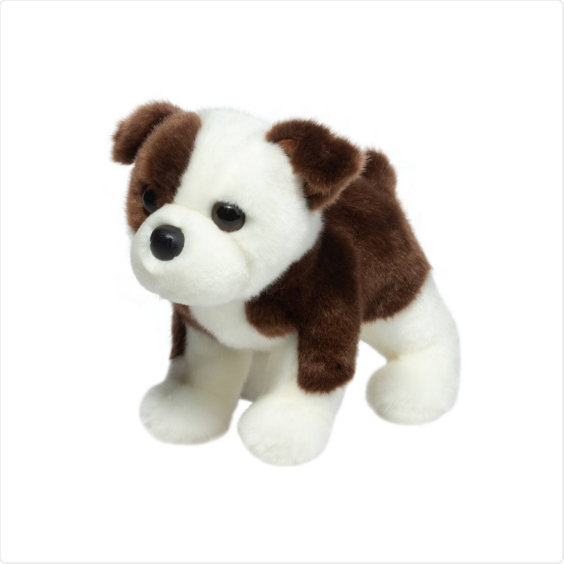 Clive Bulldog
