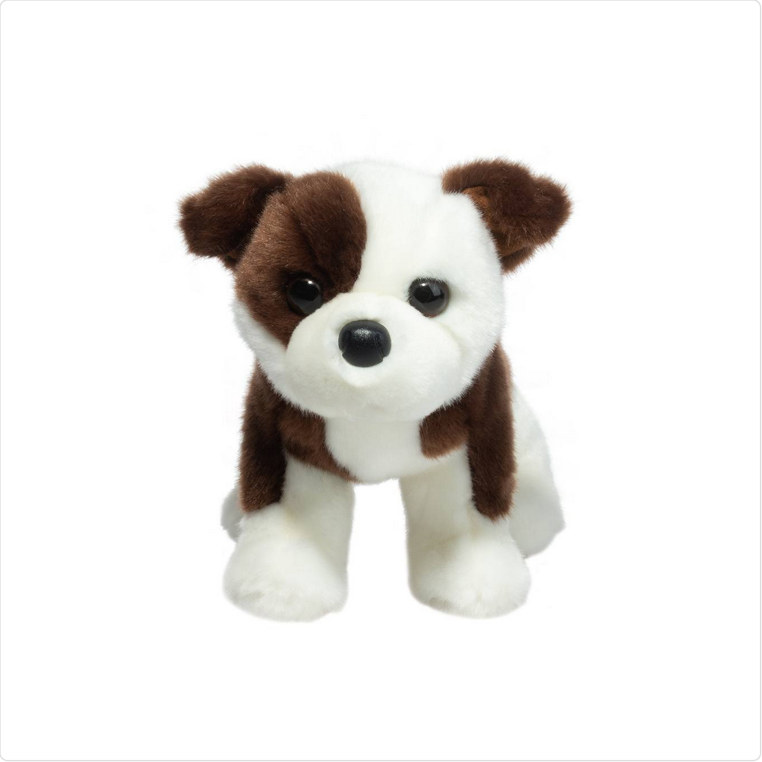 Clive Bulldog