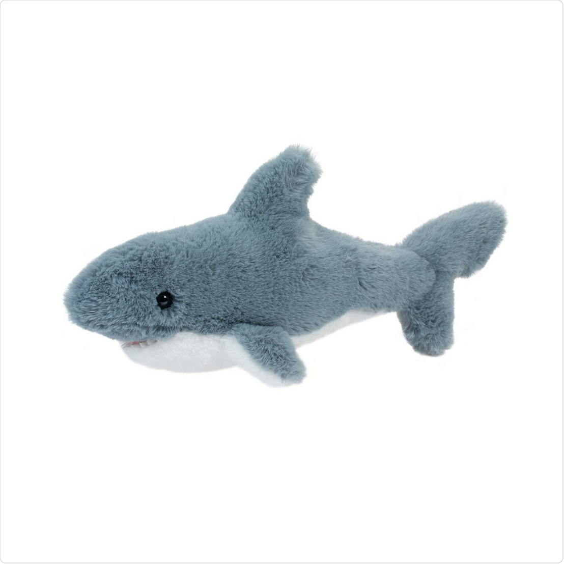 Torpedo Shark