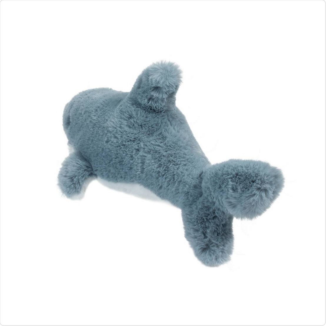 Torpedo Shark