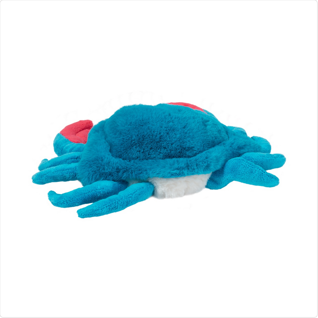 Chesa Blue Crab