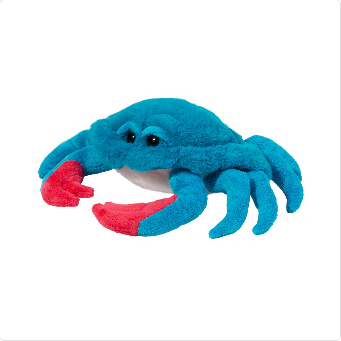 Chesa Blue Crab