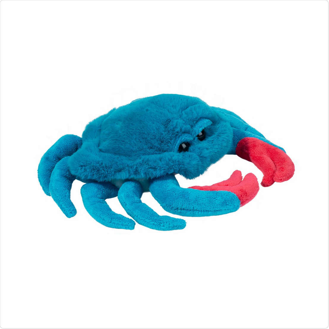 Chesa Blue Crab