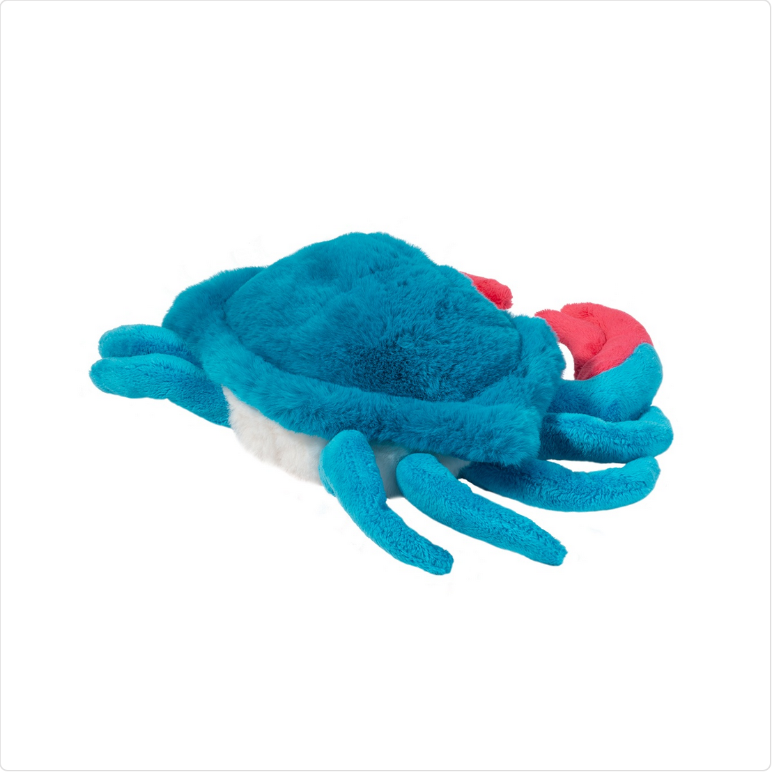 Chesa Blue Crab