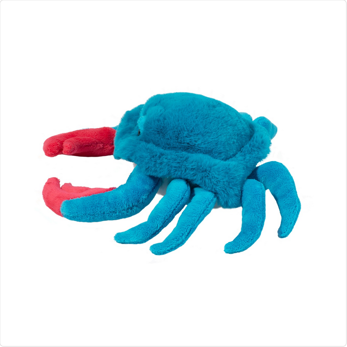 Chesa Blue Crab