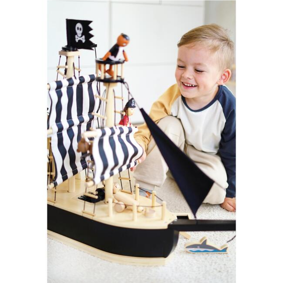 Adventure Pirate Ship