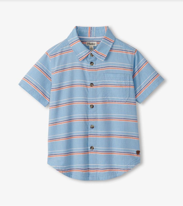 Blue Striped Woven Button Down