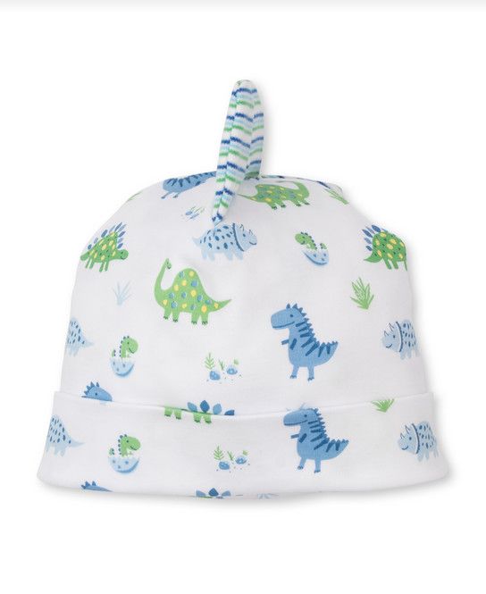 Dino District Hat