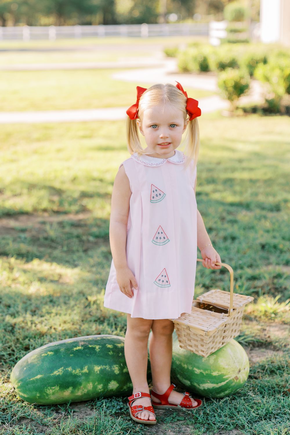 Pink Embroidered Watermelon Dress