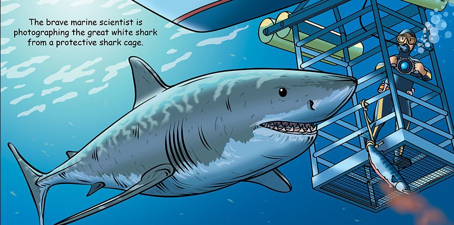 Good Night Sharks