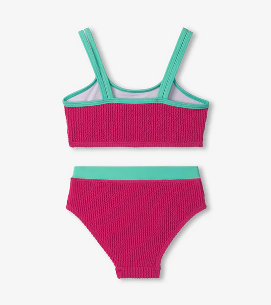 Fuchsia Purple Contrast Trim Bikini