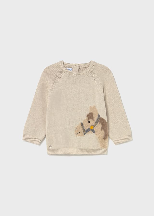 Horse Jumper