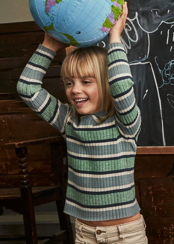 Ribbed Stripe Sage Turtleneck