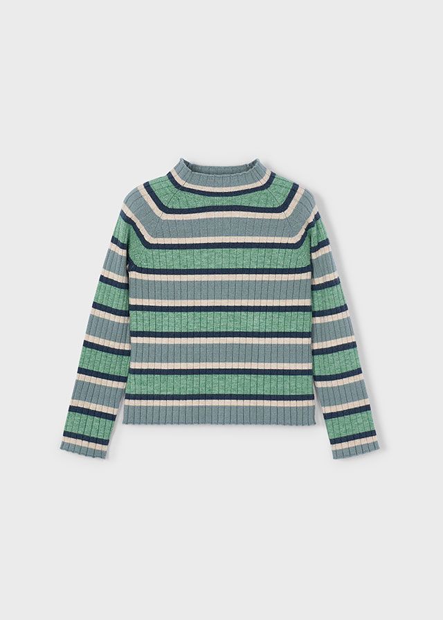 Ribbed Stripe Sage Turtleneck