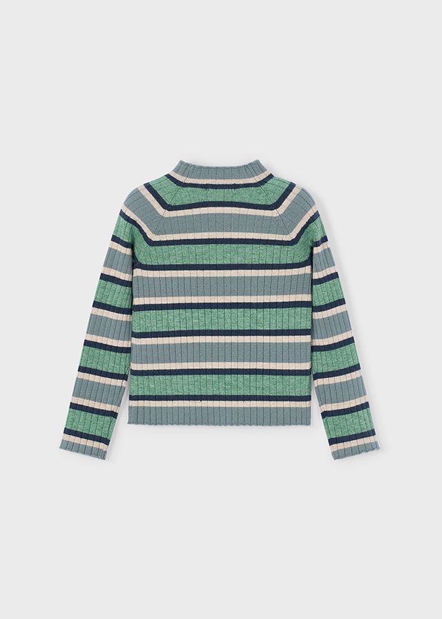 Ribbed Stripe Sage Turtleneck