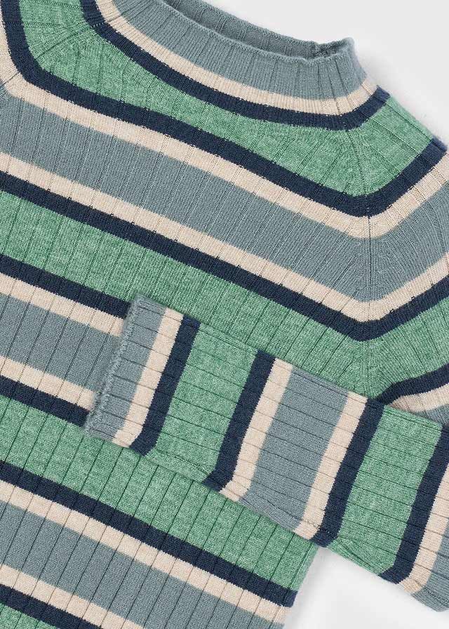 Ribbed Stripe Sage Turtleneck
