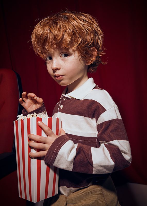 Broad Plum Stripe Longsleeve Polo