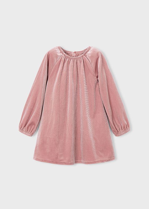 Sparkly Blush Velvet Dress