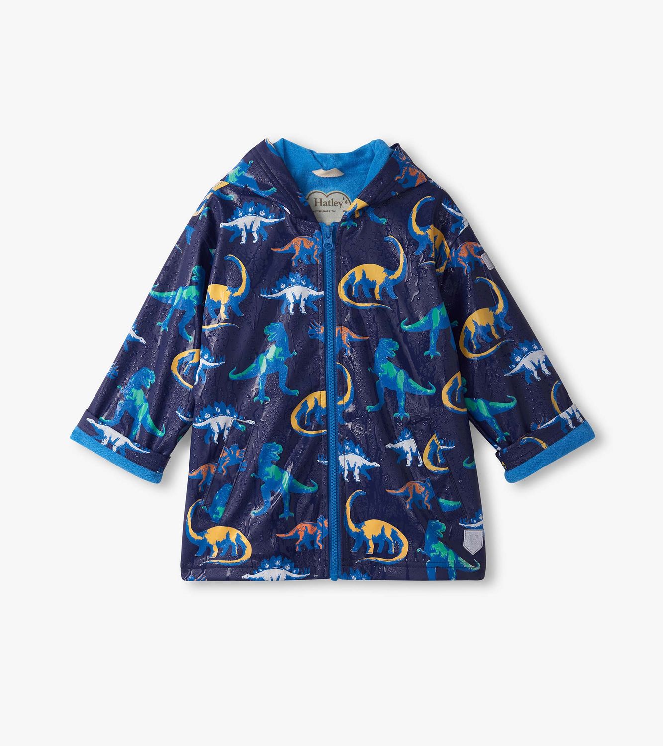 Painted Dinos Color Changing Rain Jacket