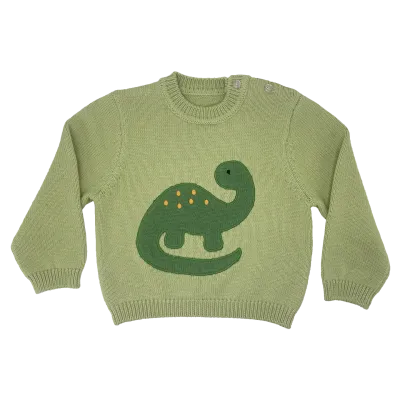 Green Dinosaur Sweater