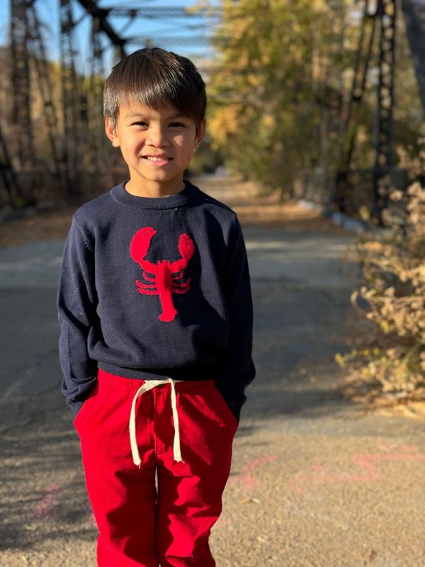Navy lobster Snappy Sweater