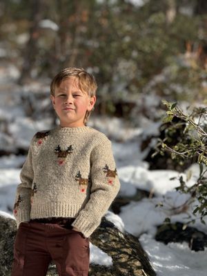Beige reindeer Rudy Sweater