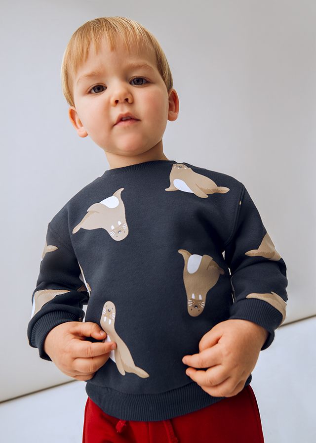 Seal Pullover