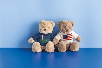 Birdie The Bear Sweater Plush Pal