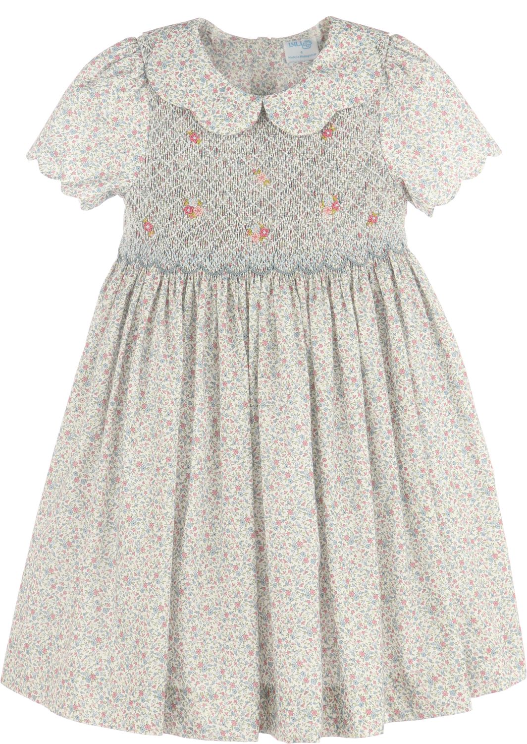 Blue Fall Blossom Smock Dress