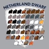 Netherland Dwarf Shield Shirt