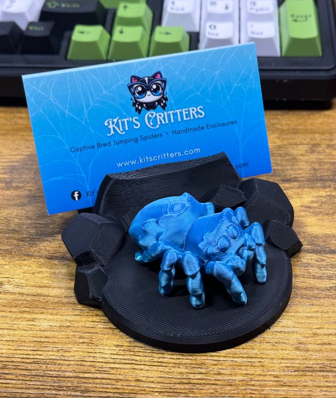 Spoody Business Card Holder