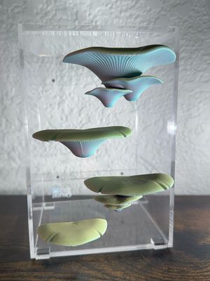 Set of 4 Mushroom Shelves