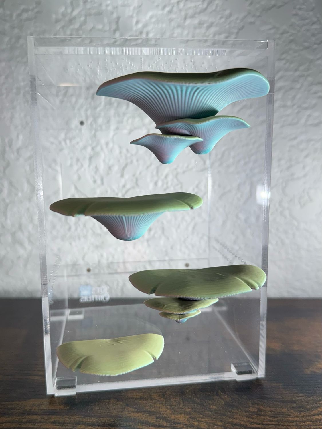Set of 4 Mushroom Shelves