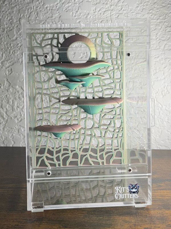 4x6&quot; Mushroom Wall with Hide