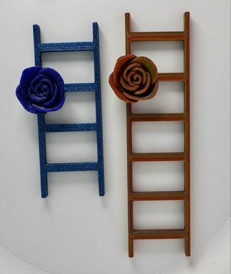 Little Climbing Ladder — Two Sizes