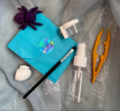 Jumping Spider Starter Kit