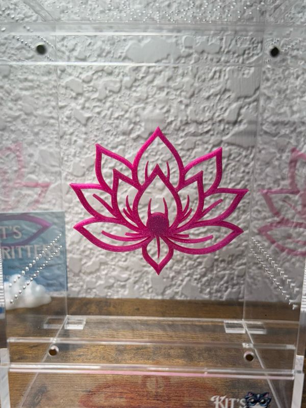 Lotus Climbing Wall